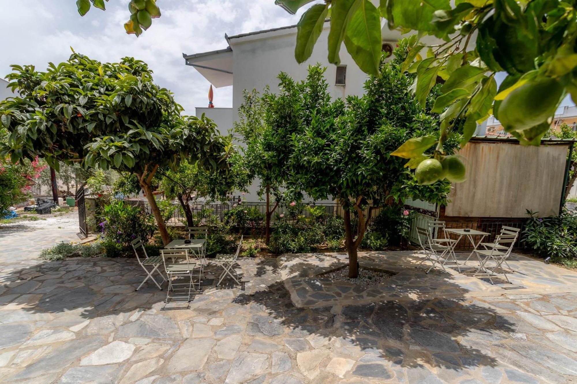 Pteleo Apartments Pteleós エクステリア 写真